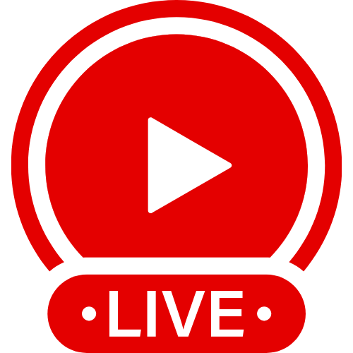 Black Bbw Feedee | Live Webcam Shows & Interactive Adult Entertainment